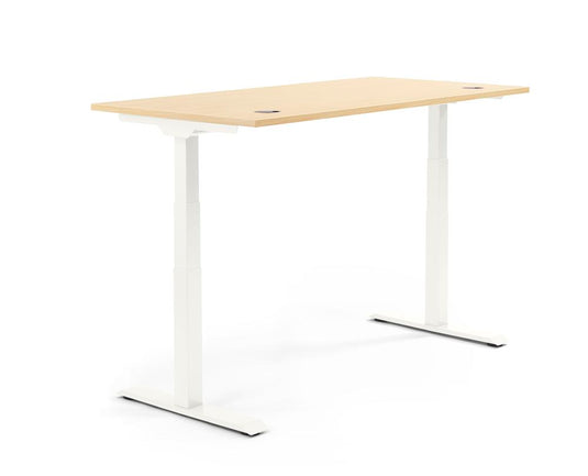 Flex Modul • Zit-sta verstelbare bureau