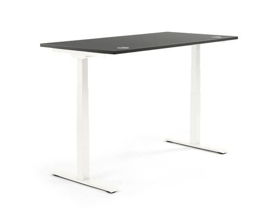 Flex Modul • Zit-sta verstelbare bureau