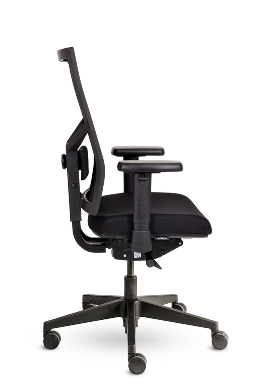 Bologna • Netrug • NPR