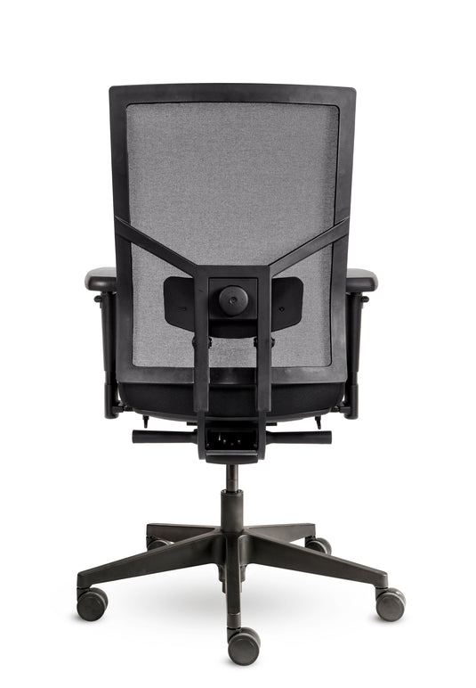 Bologna • Netrug • NPR