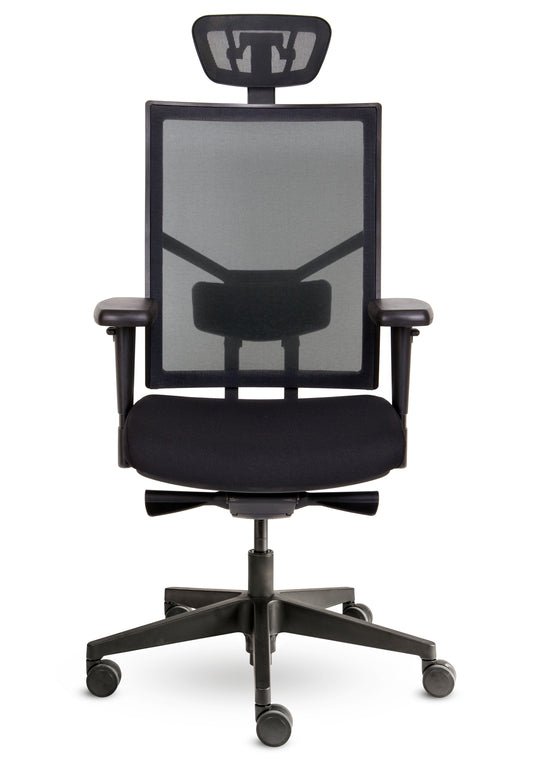 Bologna • Netrug • NPR