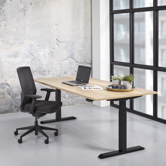 Zista | Zit-sta bureau elektrisch • Premium • Zwart onderstel