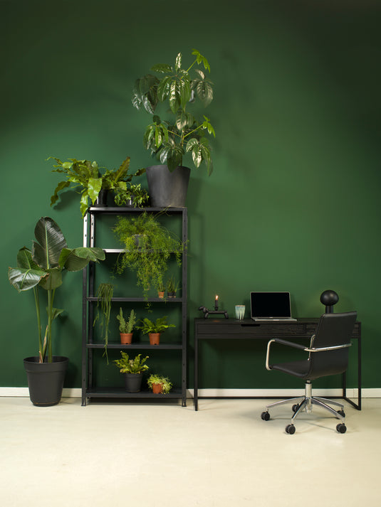 Bureaustoel Pavone • Zwart