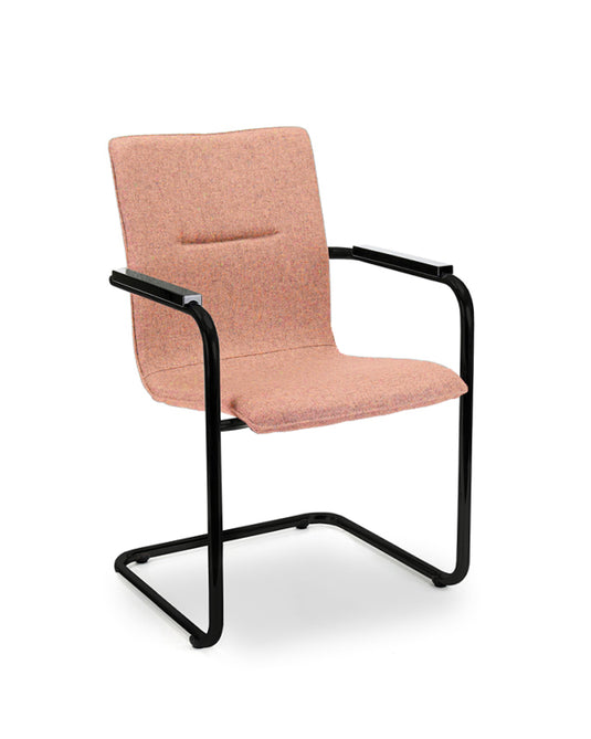 Compas stoel • Sledeframe • Zachtroze