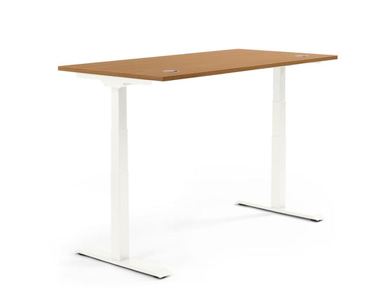 Flex Modul • Zit-sta verstelbare bureau
