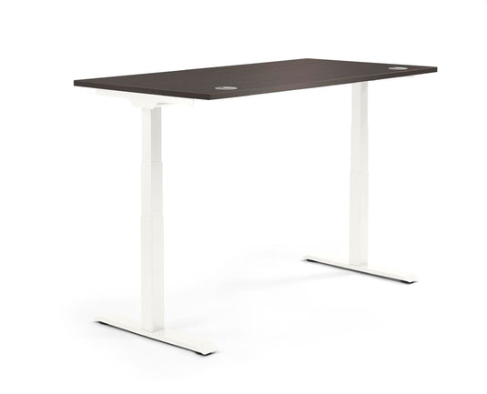 Flex Modul • Zit-sta verstelbare bureau