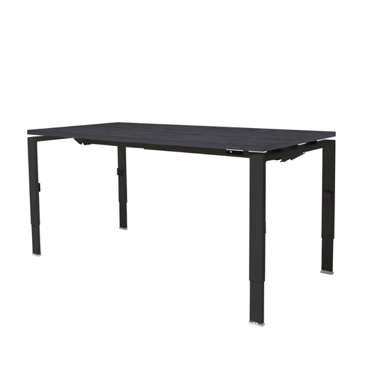 Lineo | Verstelbare bureau • Zwart onderstel