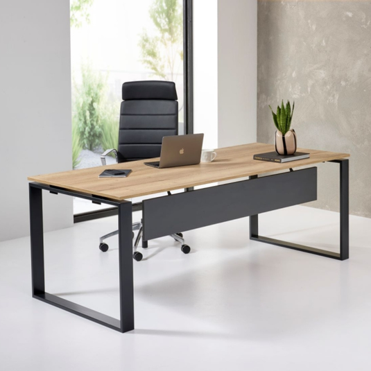 Directiebureau • Kubista • 200x900cm