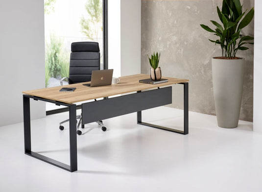 Directiebureau • Kubista • 200x900cm